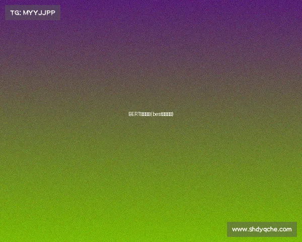 BERT电子竞技(best电竞比赛)